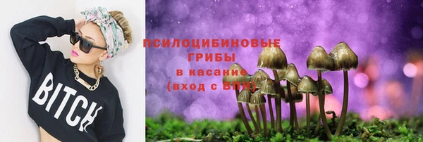 СК Абинск