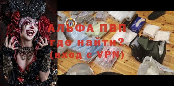 PSILOCYBIN Нязепетровск