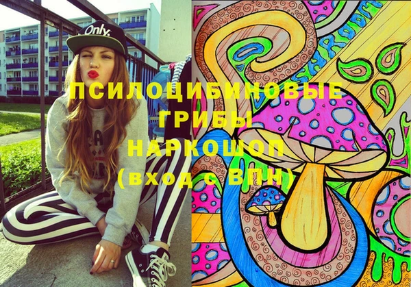 СК Абинск