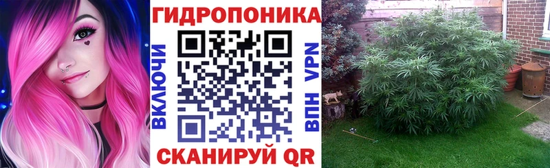 Каннабис семена где можно купить наркотик Кириллов